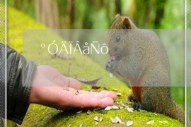 金城江融资清欠服务