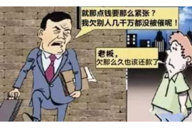 金城江融资清欠服务